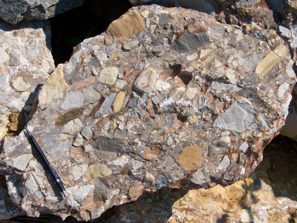 Leesburg Member conglomerate outcrop, Culpeper Basin, Virginia