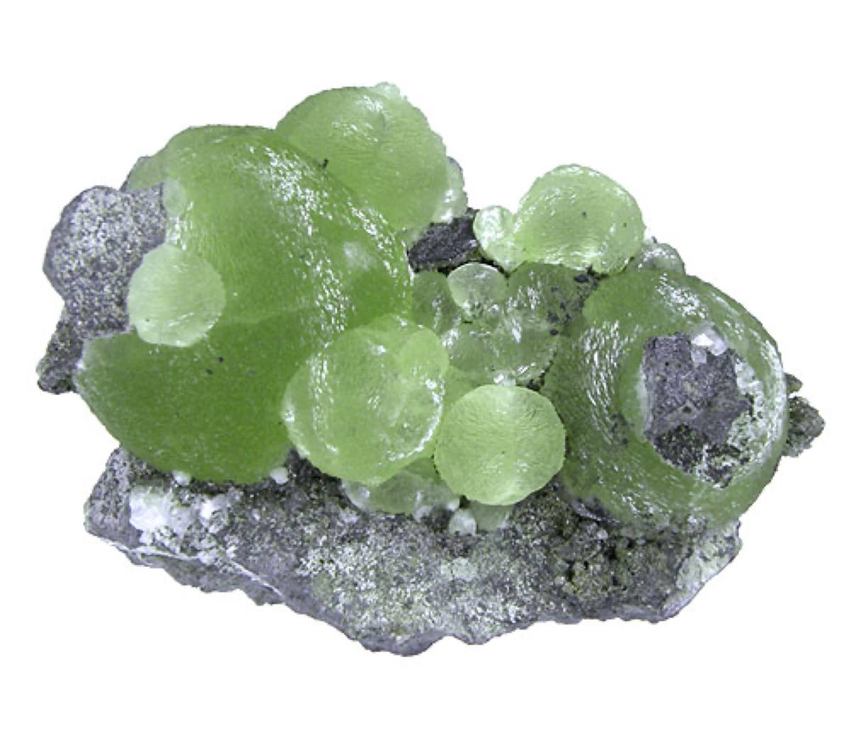 Apple-green prehnite balls on traprock, Prospect Park Quarry, New Jersey
