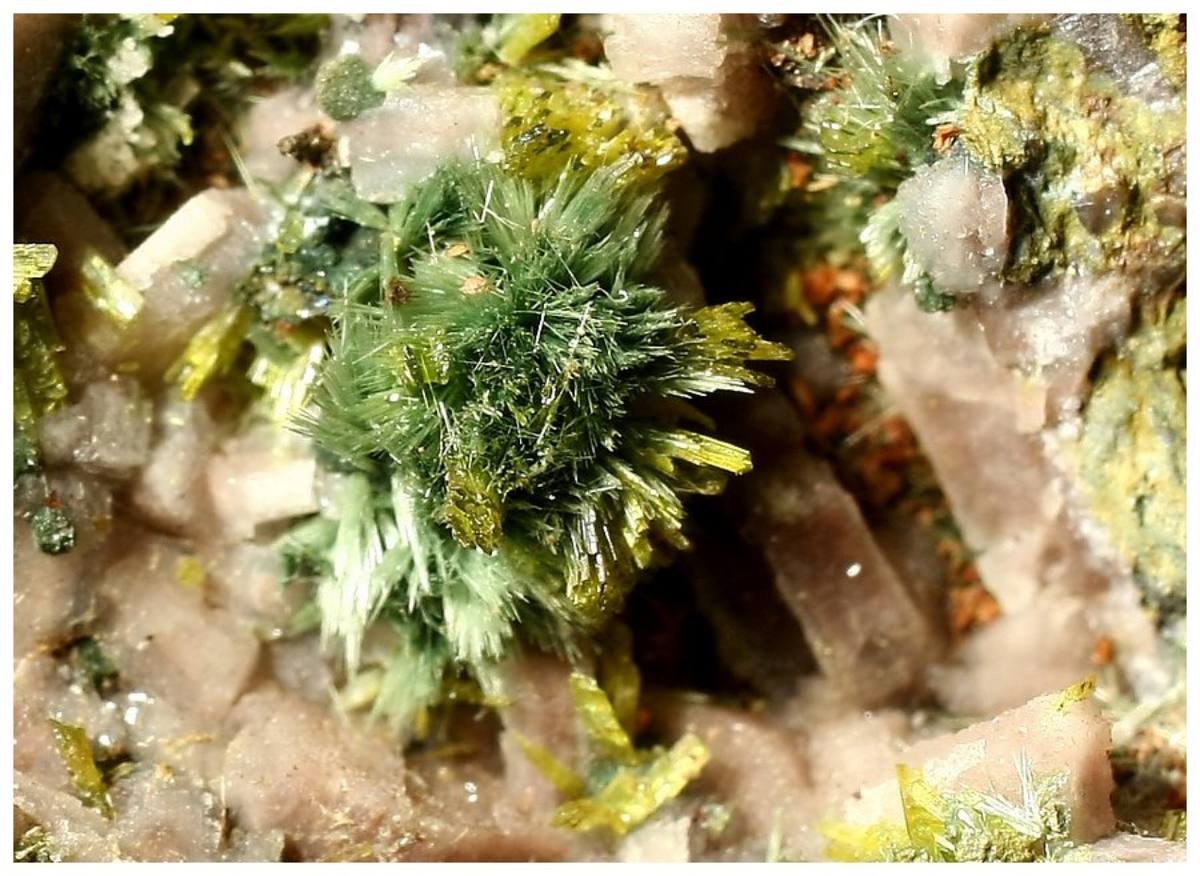 Green radiating spray of pumpellyite-(Fe2+), Torás, Spain