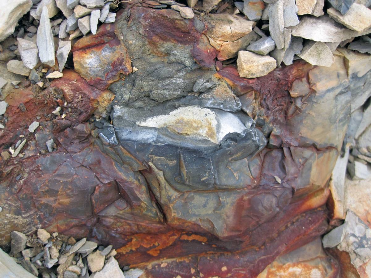 Pyrite Concretions gemstone