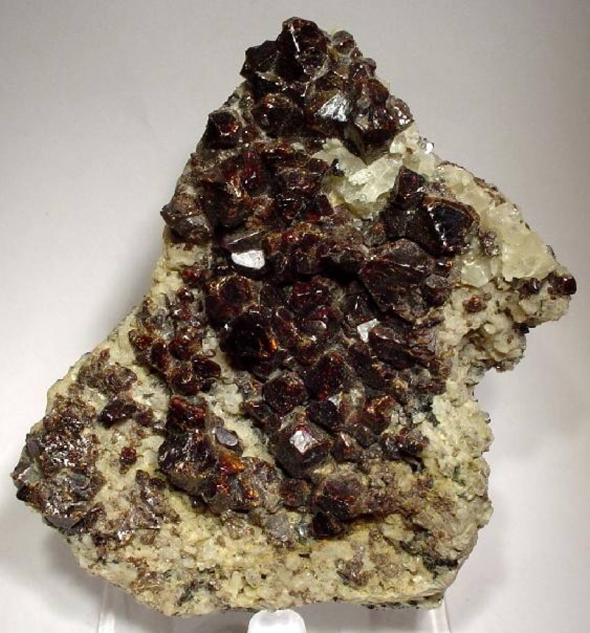 Reddish-brown pyrochlore octahedra scattered on pale matrix