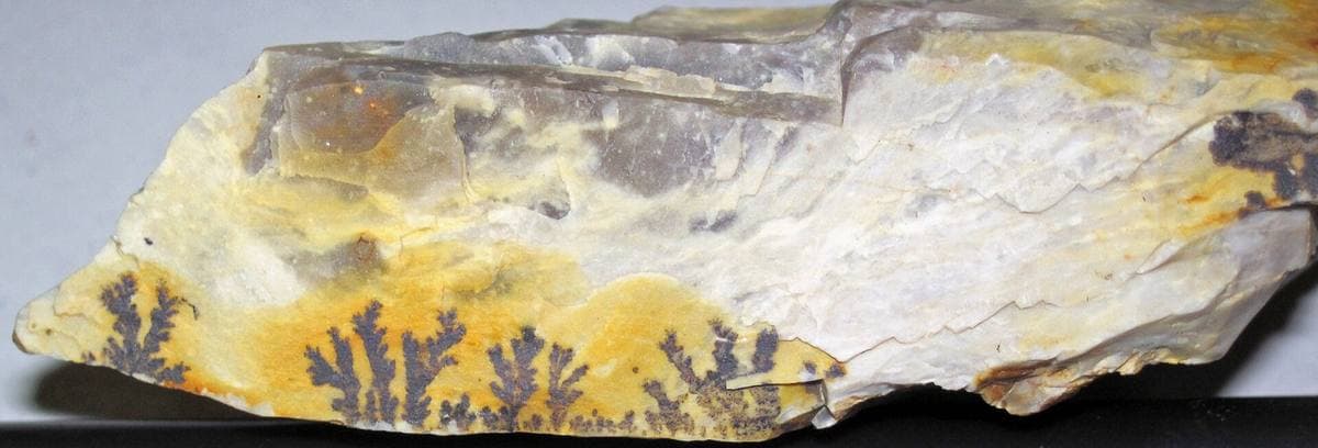 Manganese oxide dendrites on flint, Flint Ridge, Ohio