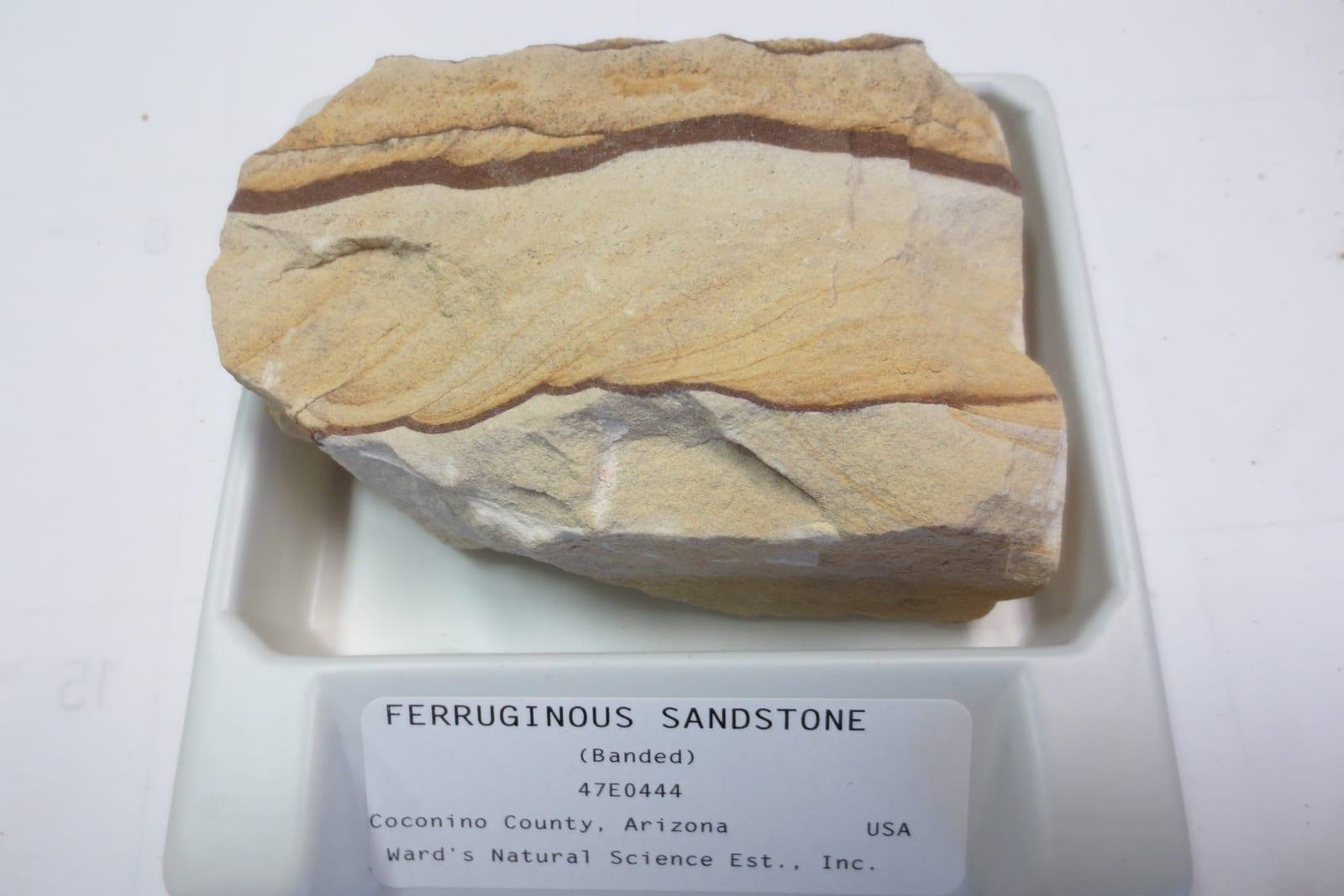 Red Sandstone sedimentary