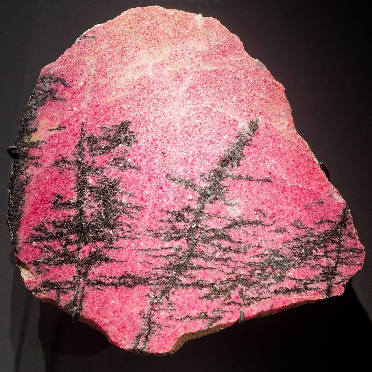 Pink rhodonite slab with black manganese dendrites
