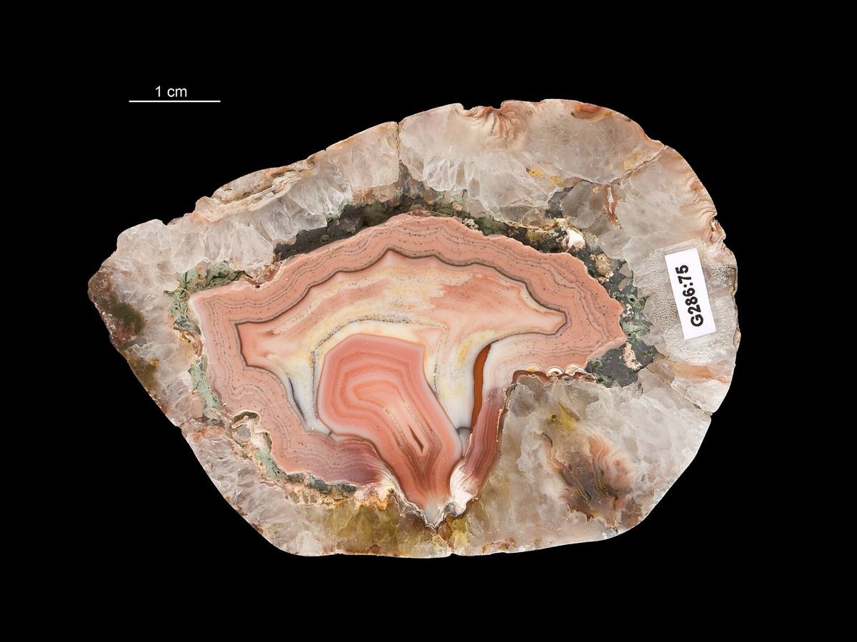 Banded pink chalcedony cabochon