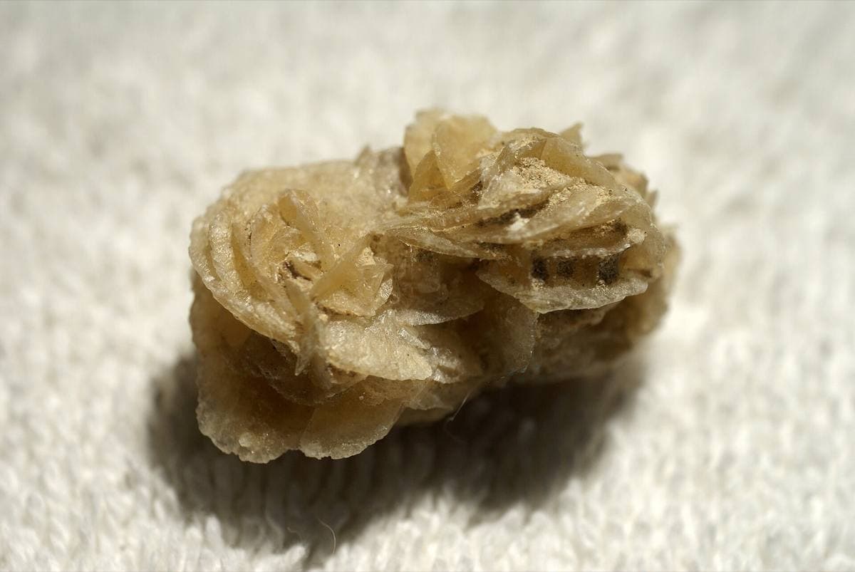 Selenite rose, a rosette of gypsum blades