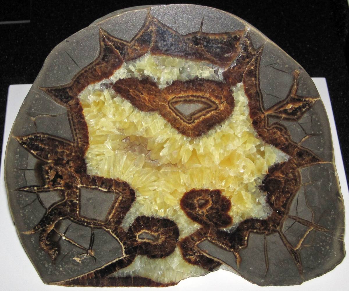 Septarian Nodule