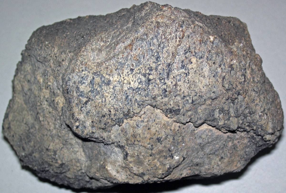 Silicified Dinosaur Bone fossil