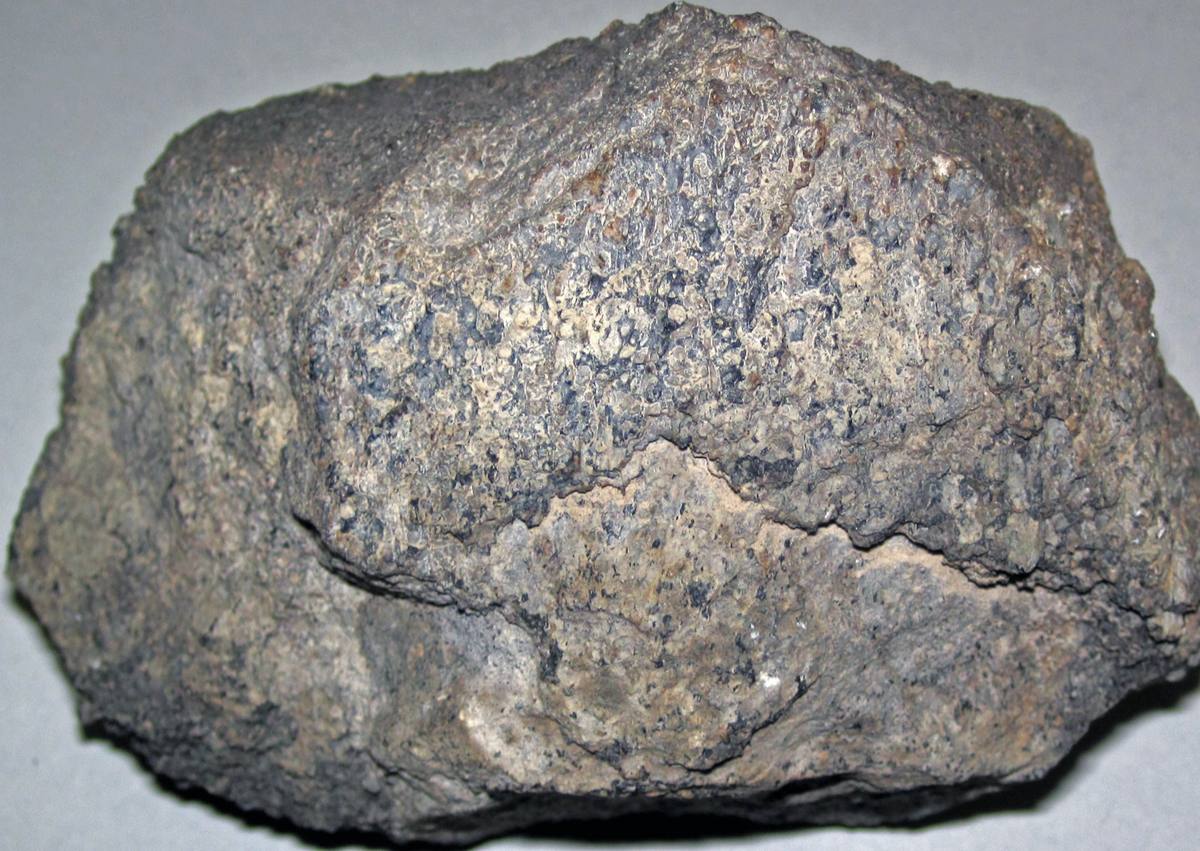 Silicified Dinosaur Bone fossil