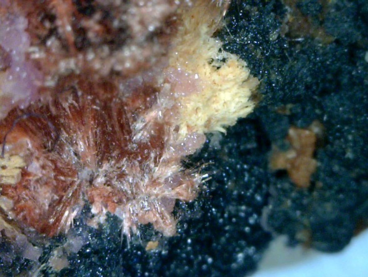 Smolyaninovite mineral