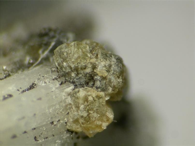 Thomasclarkite-(Y) mineral