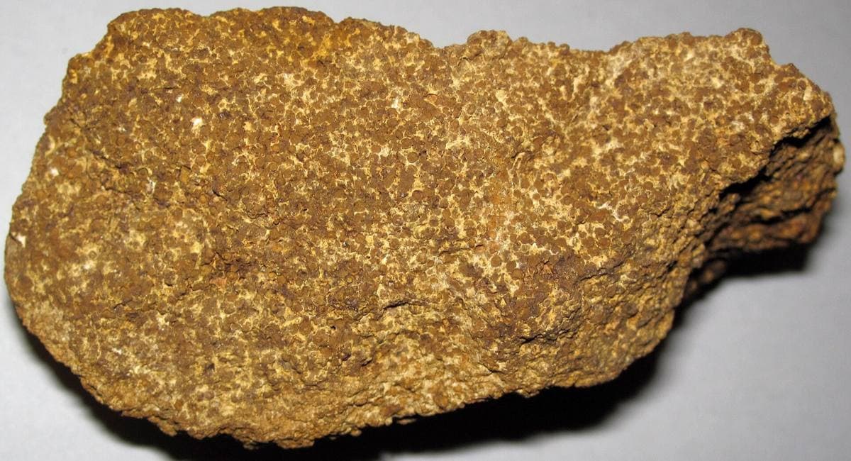 Porous yellow-tan rottenstone (tripoli) after chert, Flint Ridge, Ohio