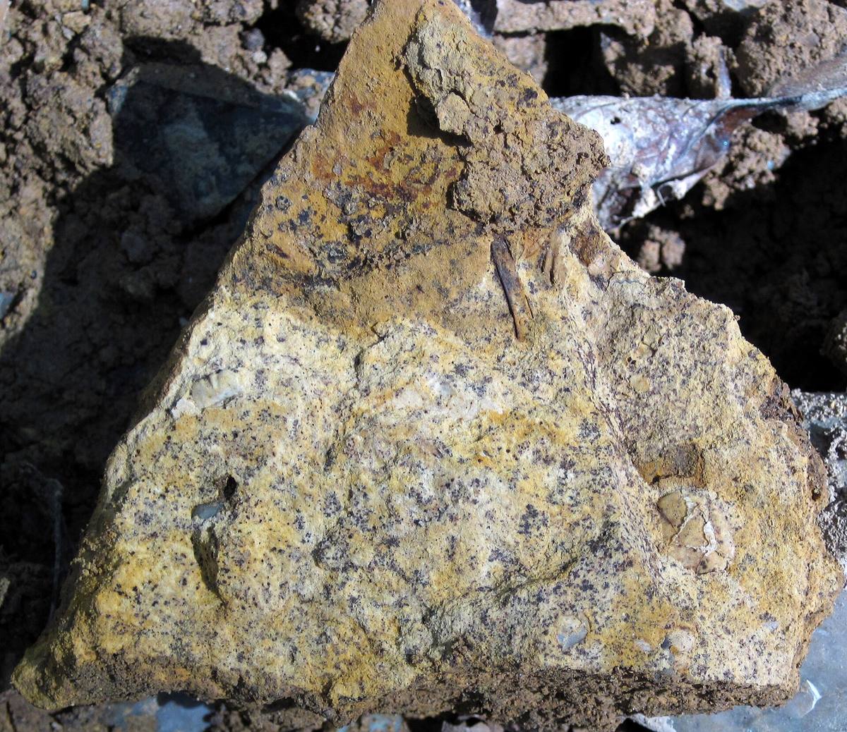 Rottenstone block in situ at the quarry, Flint Ridge, Ohio
