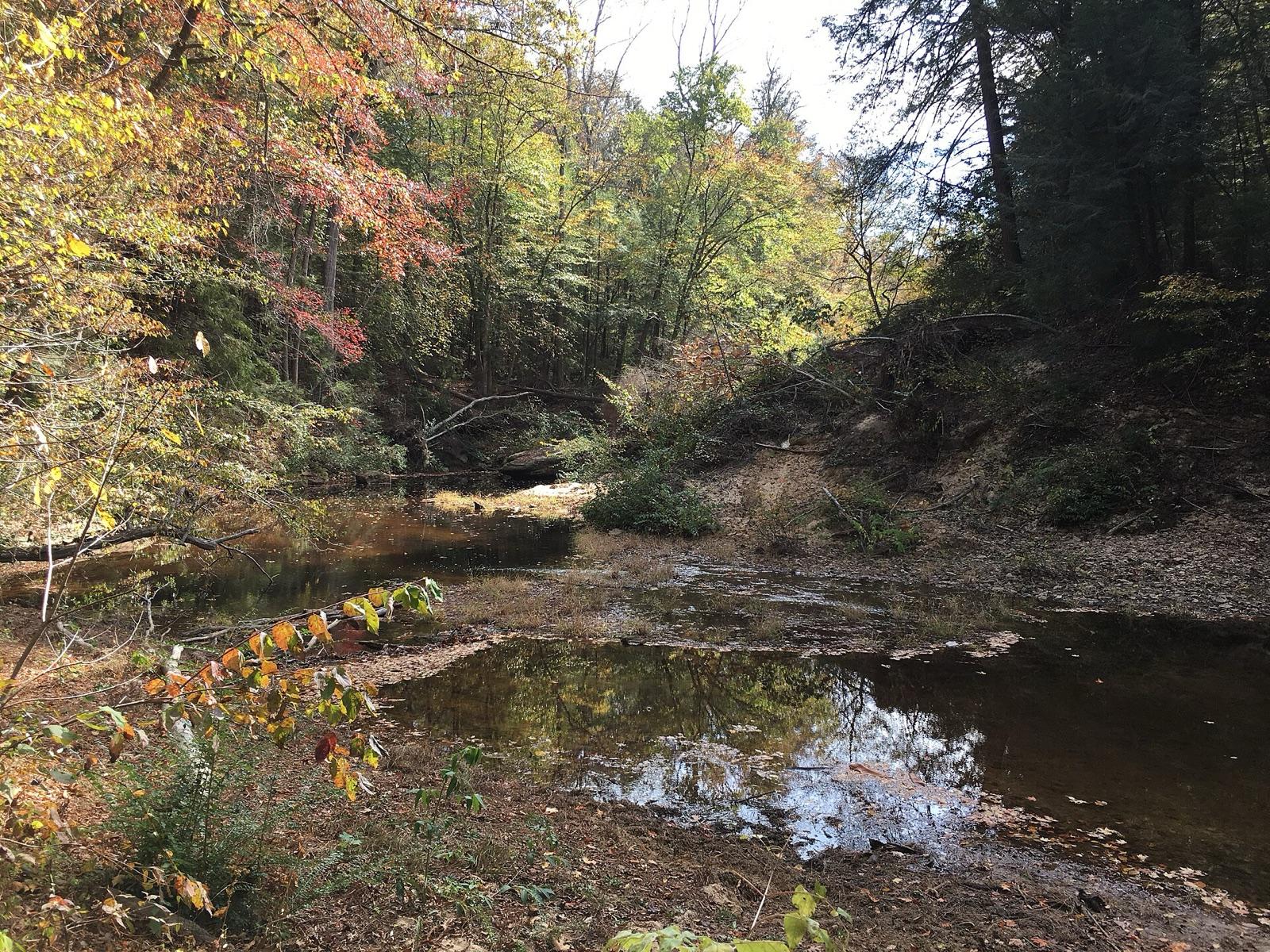 A creek in the Sipsey Fork country of the Bankhead National Forest, Winston County, Alabama