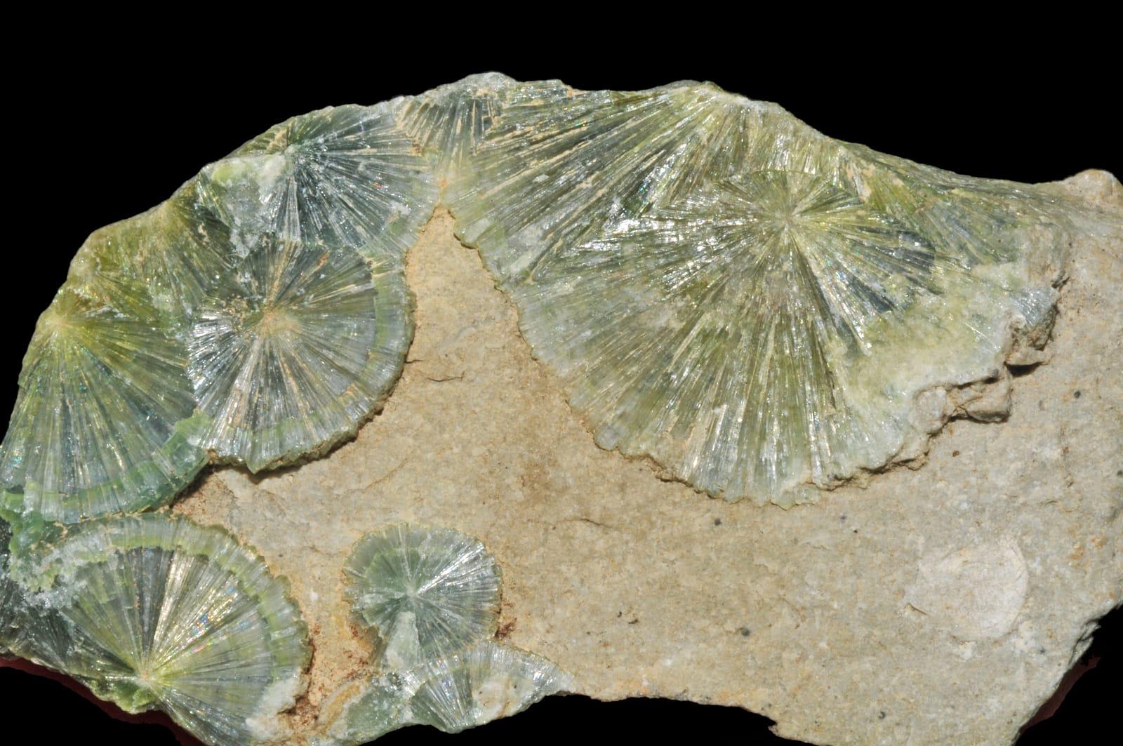 Wavellite (Arkansas   USA) 2 at Unnamed Quarry (Wavellite), Montgomery County, Arkansas