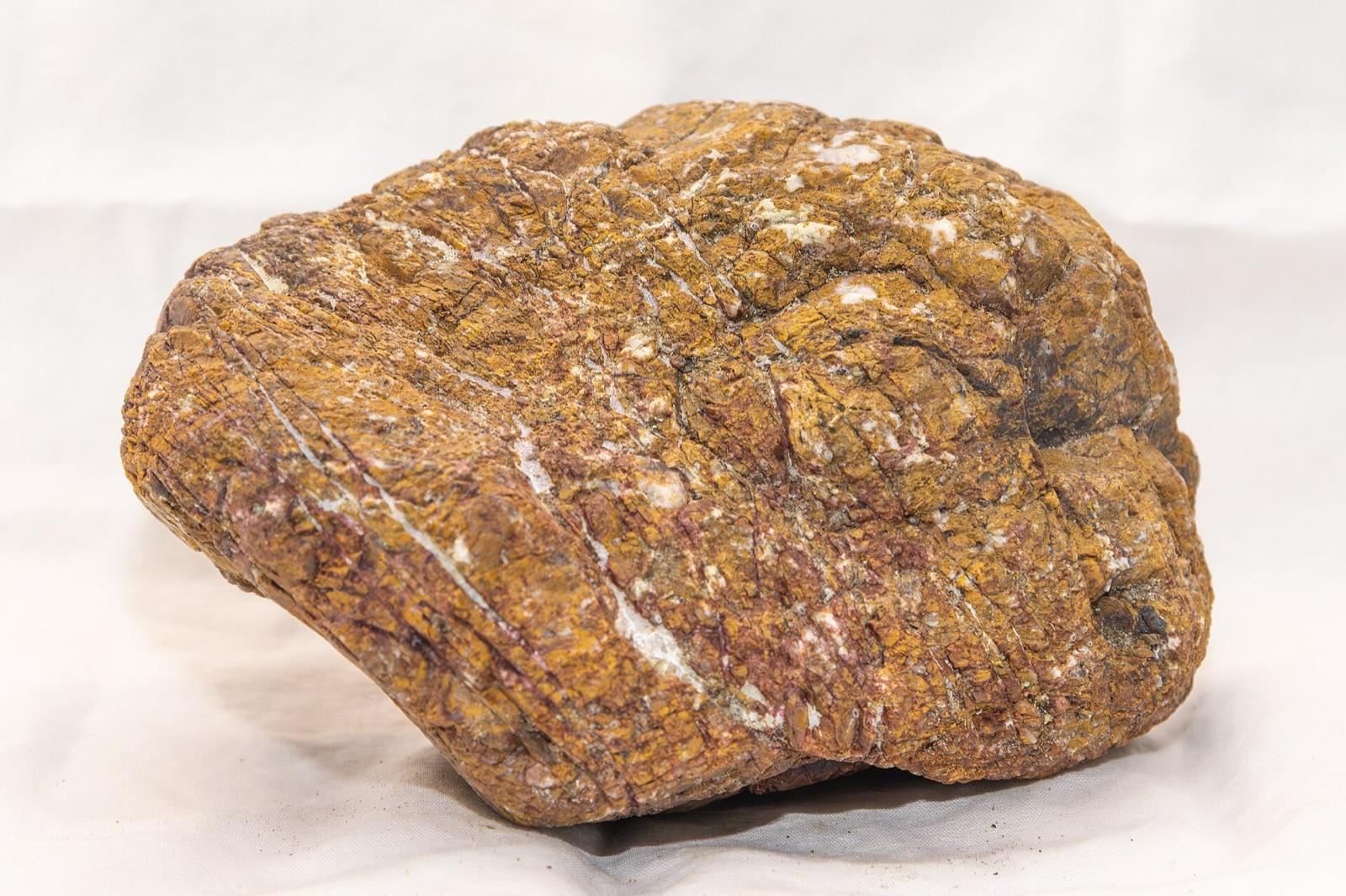 Brecciated jasper specimen at Jacolitos Canyon, Fresno County, California