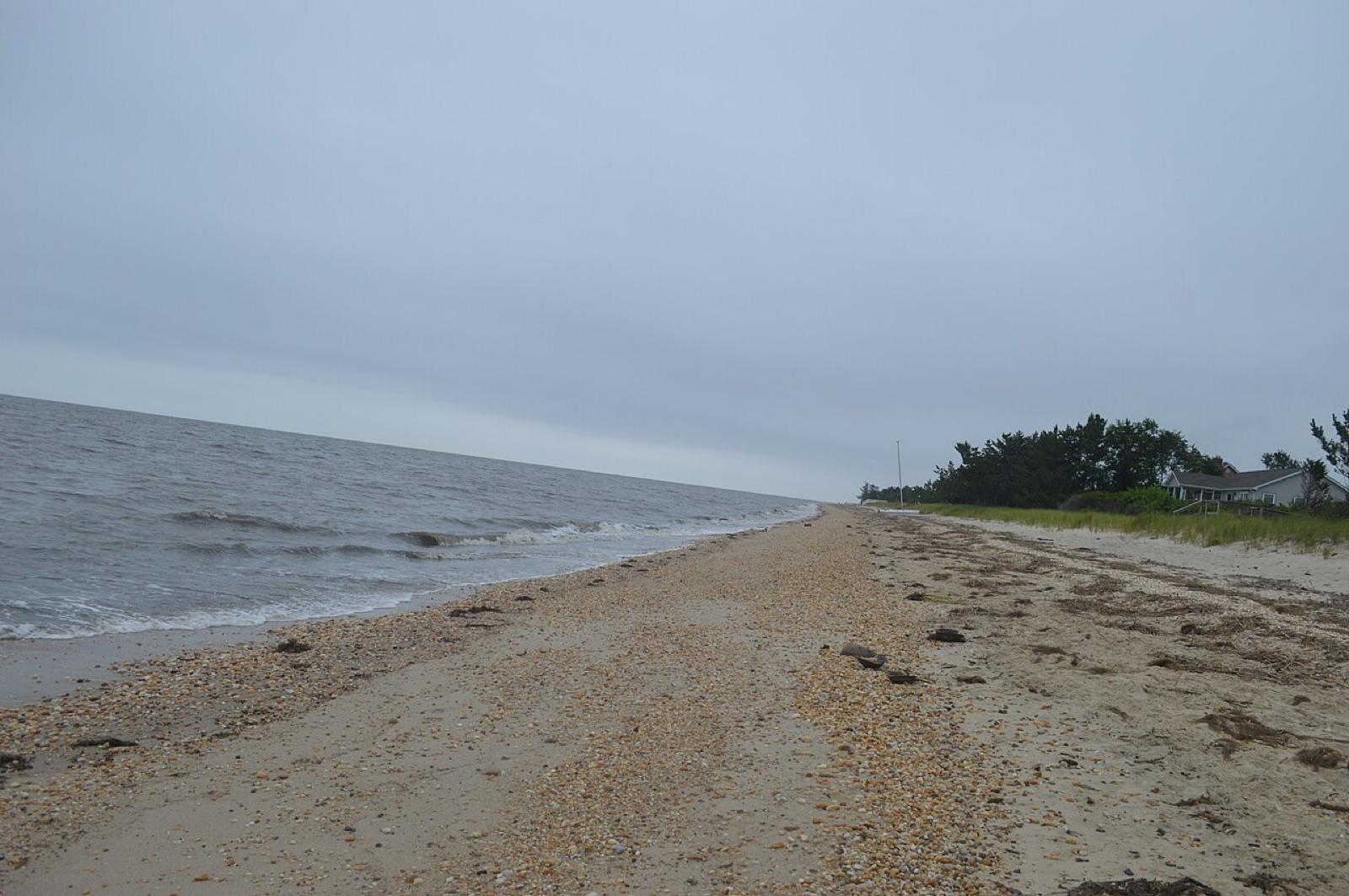 The Delaware Bay shoreline at Slaughter Beach, Sussex County, Delaware, in morning light.