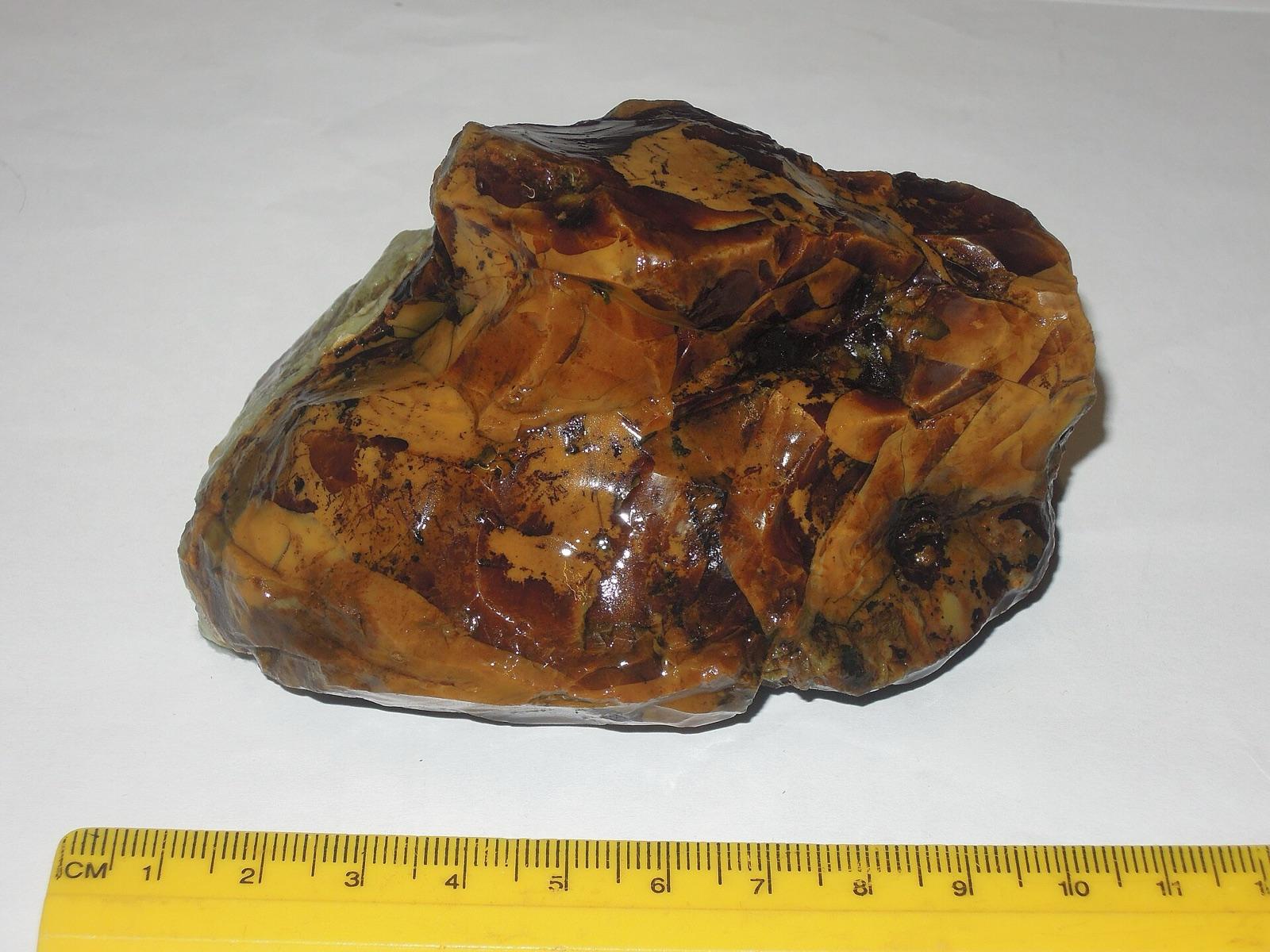 Opalized wood, an example of the silica material like the chalcedony and opalized wood that washes into the Chattahoochee River gravels