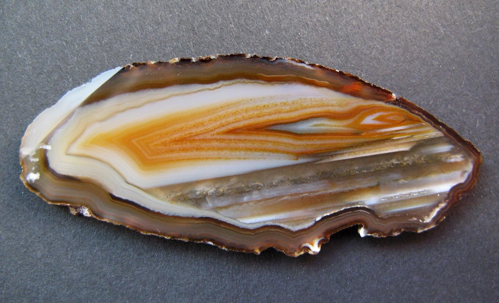 Polished brown and white banded agate, like the Savannah River agate collected near Girard