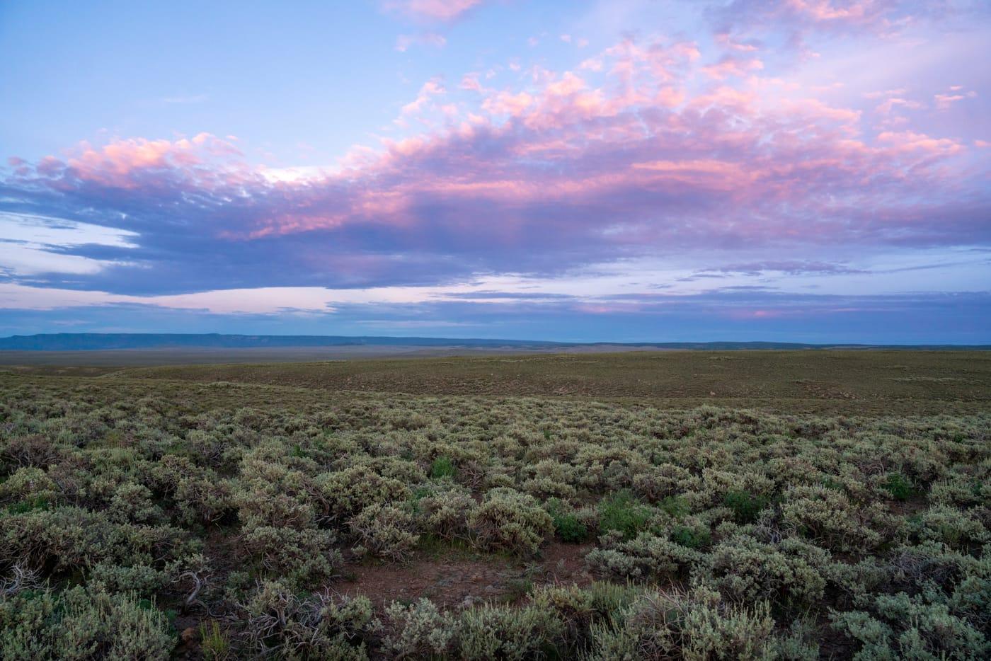 Parker Mountain Sagebrush Steppe (52248590236) at Parker Mountain, Lemhi County, Idaho