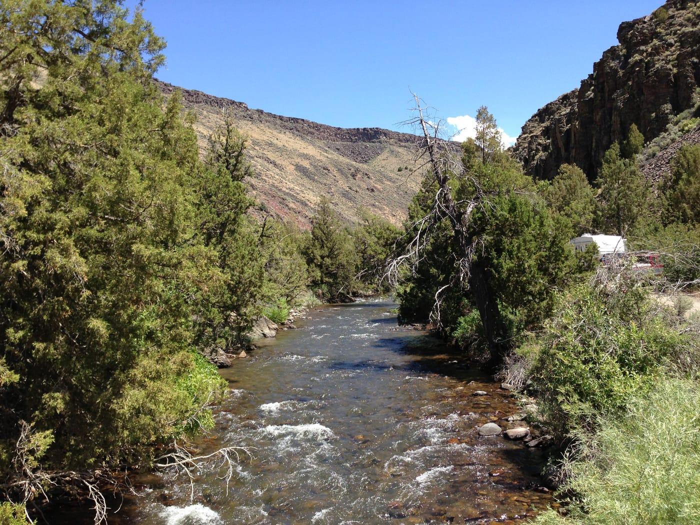 2013 06 28 14 34 39 View up the East Fork Jarbidge River at its  confluence with the Jarbidge River near Murphy's Hot Springs in, Idaho at Succor Creek, Owyhee County, Idaho