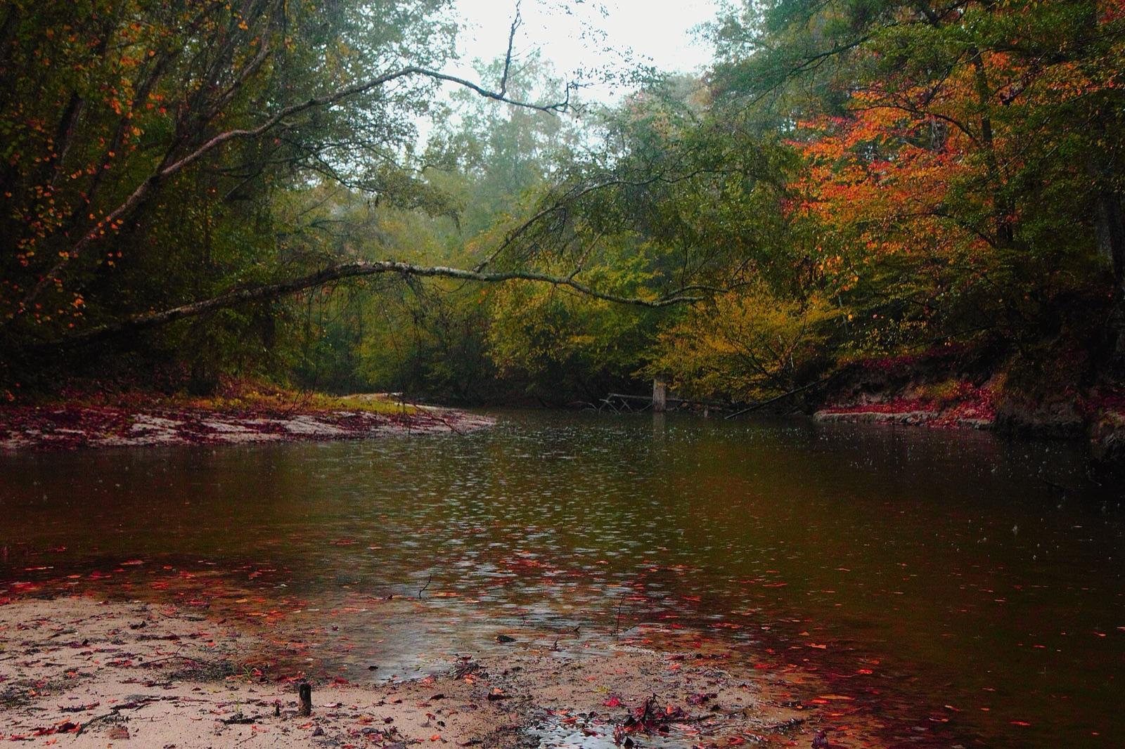 Sandy gravel bar on Kisatchie Bayou in Kisatchie National Forest, Rapides Parish area, Louisiana
