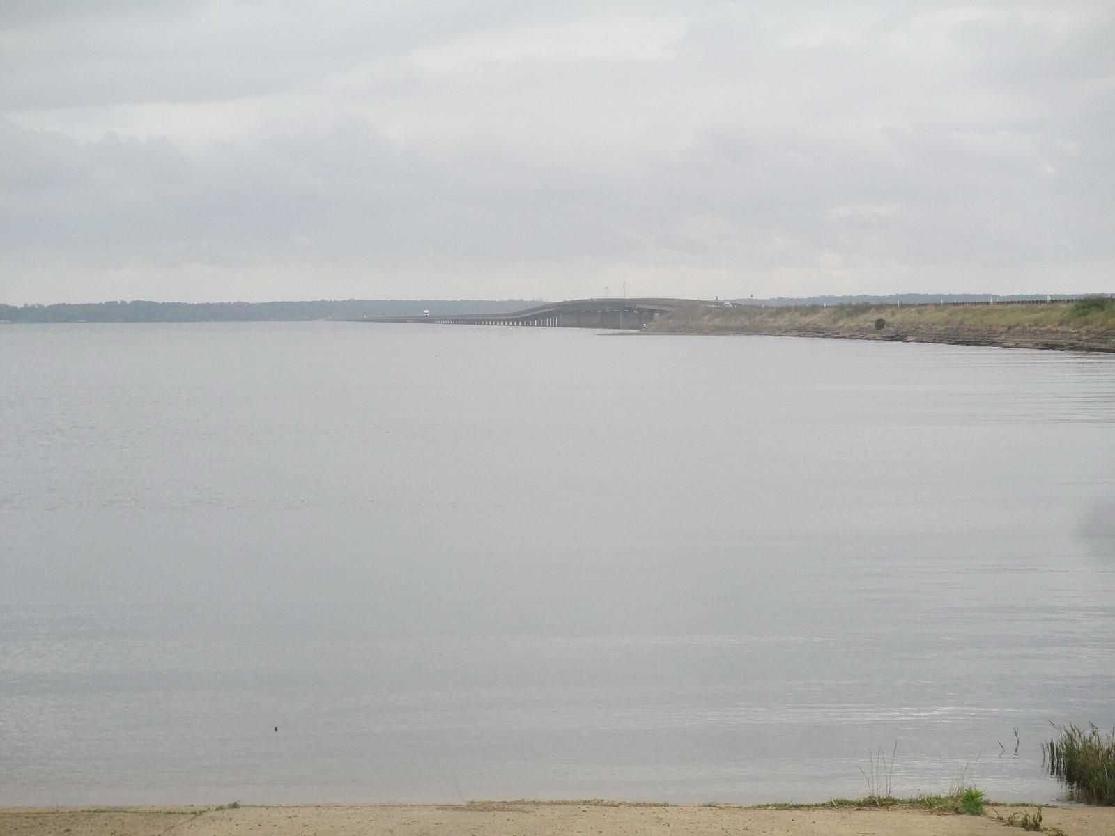 Shoreline of Toledo Bend Reservoir west of Many, Sabine Parish, Louisiana