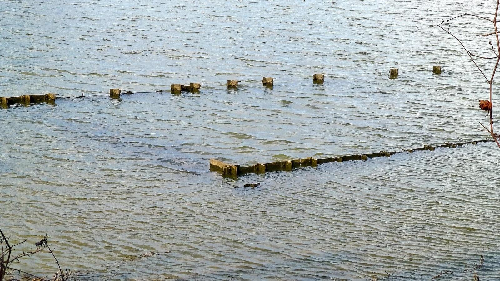 Submerged remains of the Ghost Fleet in the Potomac River at Mallows Bay Park, Charles County, Maryland