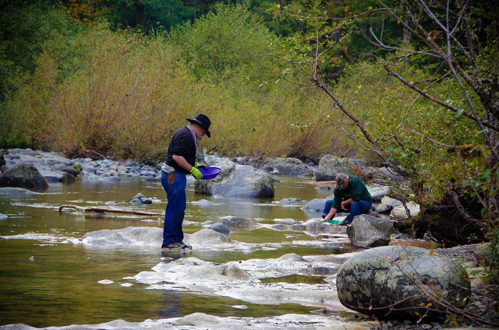 Panning for gold in a river, the way collectors work the Sandy River gravels