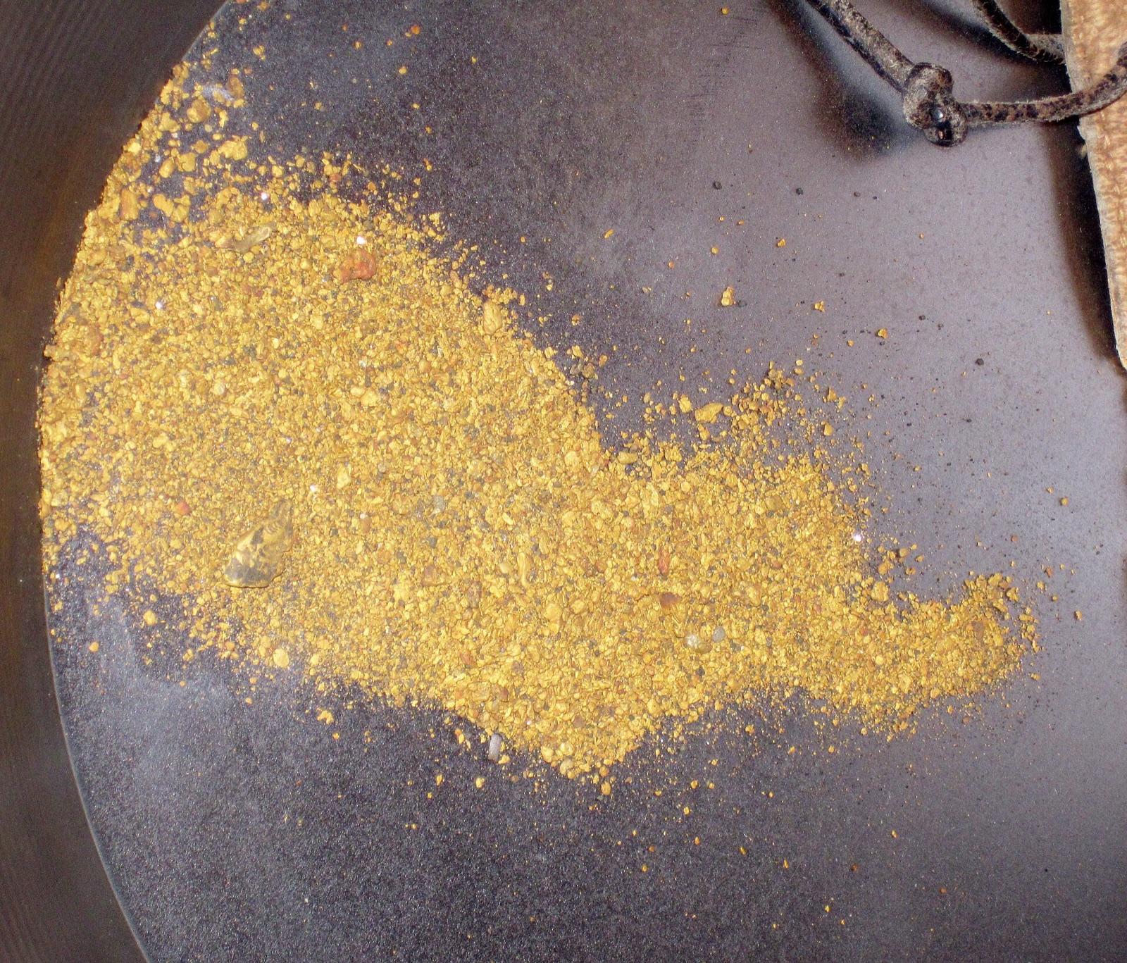 Fine placer flour gold in a pan, like the gold from the St. Croix River