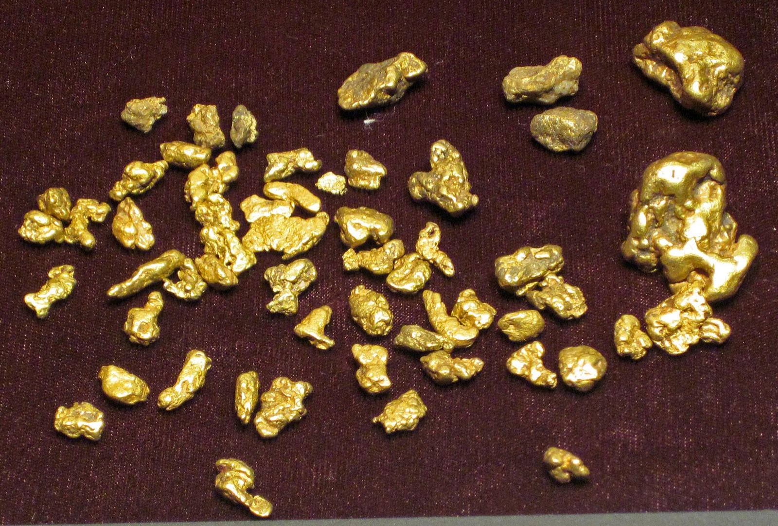 Placer gold nuggets and flakes, the kind of gold panned from the Swift River at Coos Canyon
