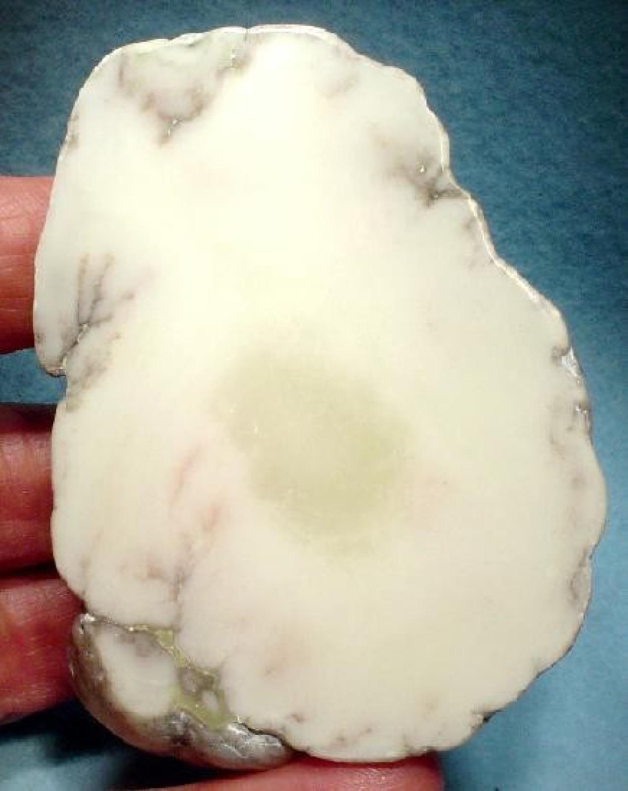 A polished Copper Country datolite nodule, the porcelain-like mineral found around Keweenaw Point