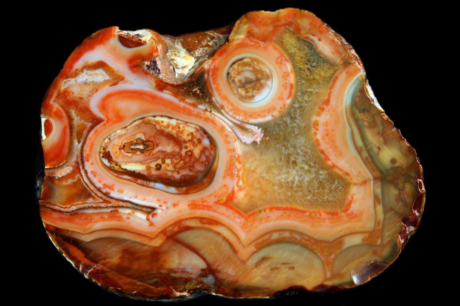 A polished Lake Superior agate with red and orange fortification banding, the kind of glacially carried agate that concentrates in the Mississippi River gravels around La Grange alongside local jasper and chalcedony.
