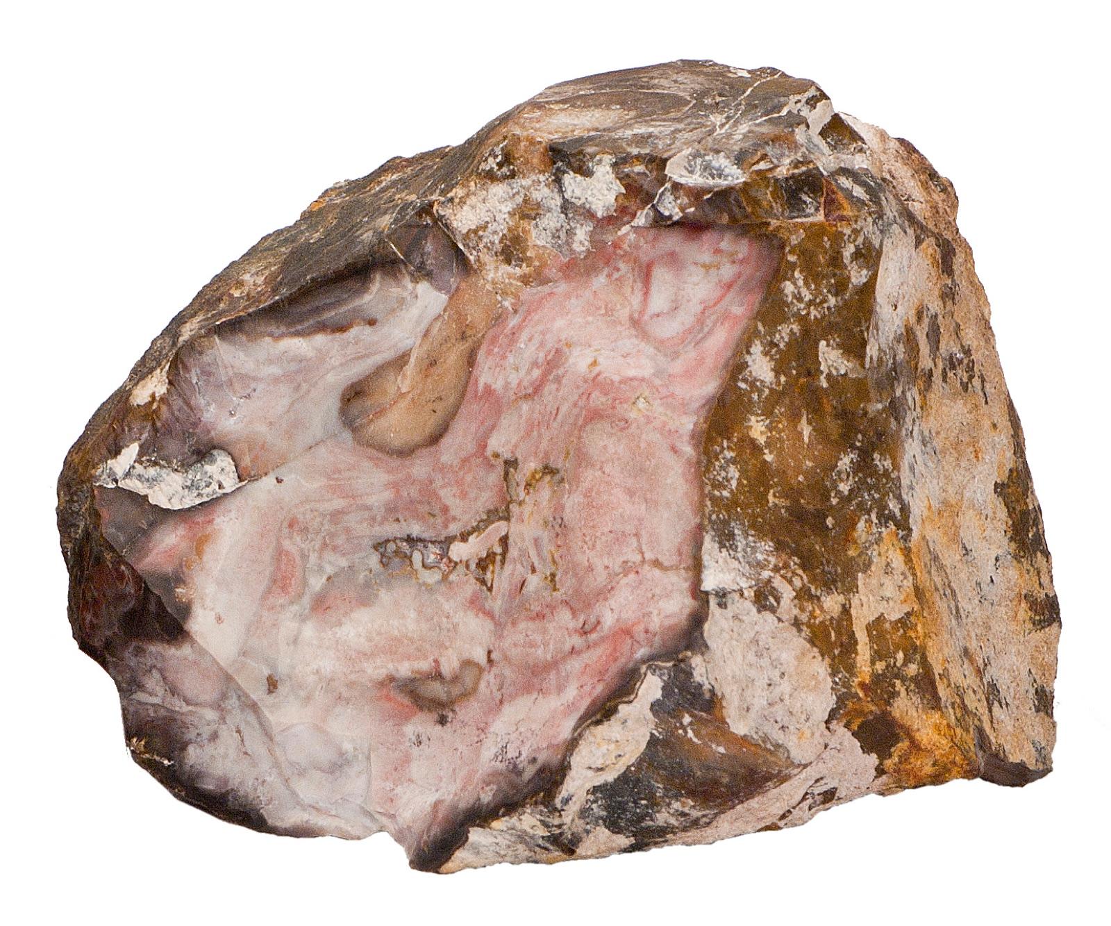 A broken mozarkite cobble showing the pink and cream gem chert interior under a dull weathered rind, the banded gem chert that is Missouri's state rock and weathers out around Lincoln in Benton County.