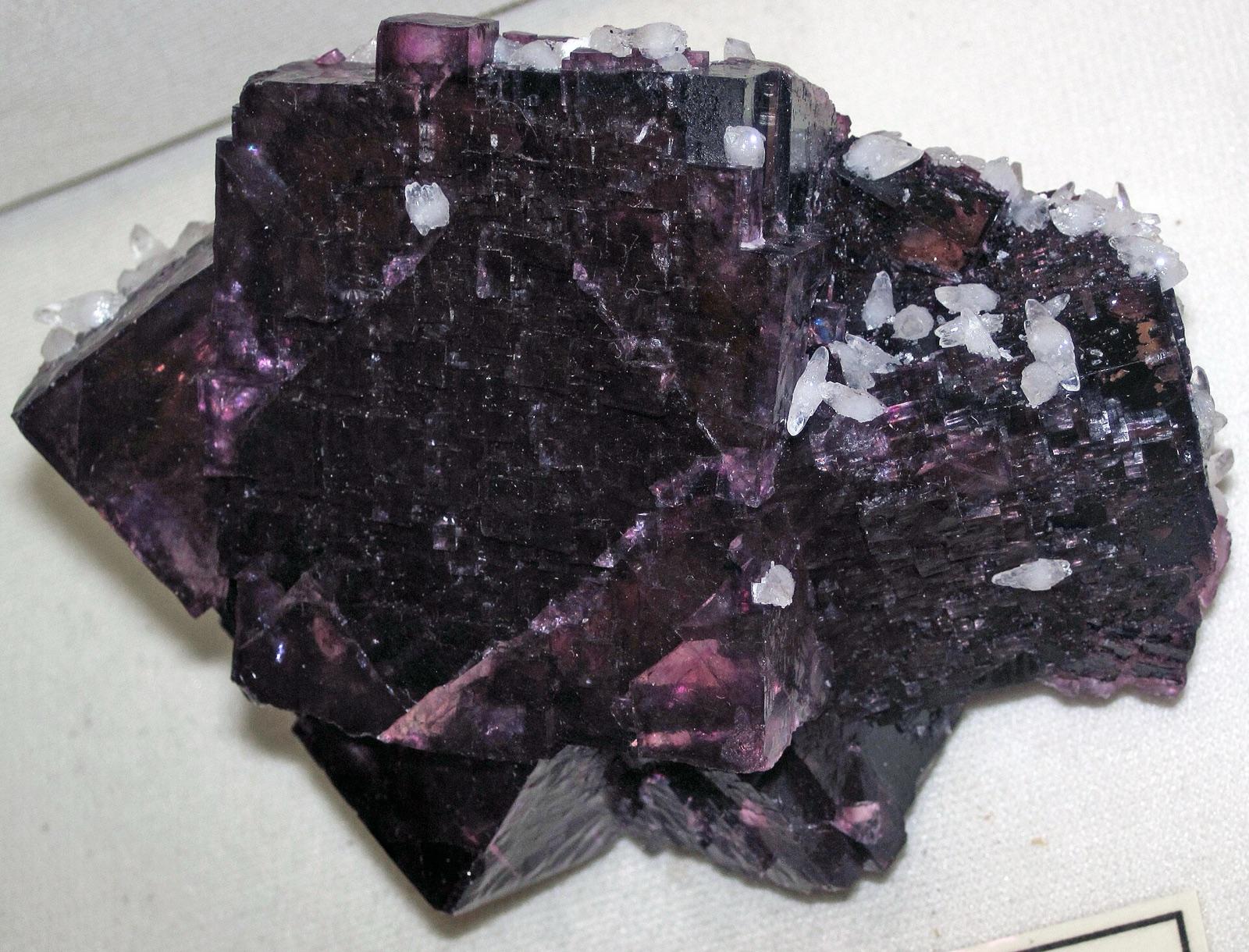 Deep purple cubic fluorite crystals with white calcite, a representative specimen of the fluorite mined at Crystal Mountain Mine, Ravalli County, Montana