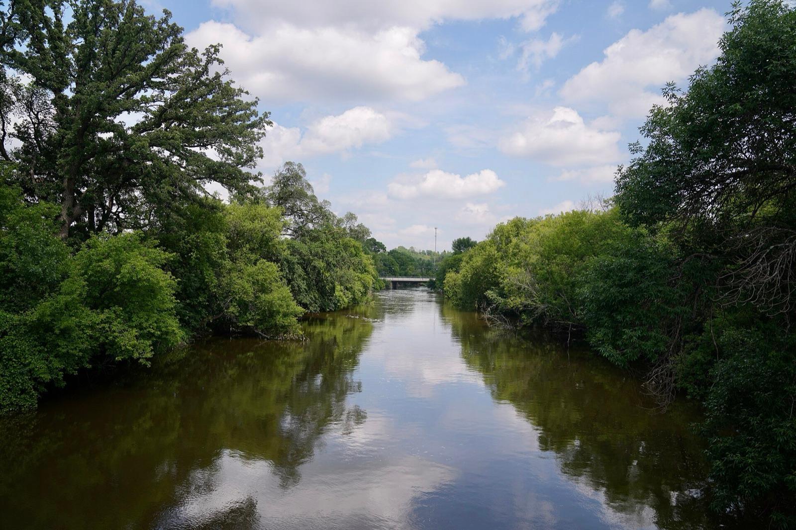 The Sheyenne River, shown upstream at Valley City; its gravels near Lisbon in Ransom County carry silicified wood
