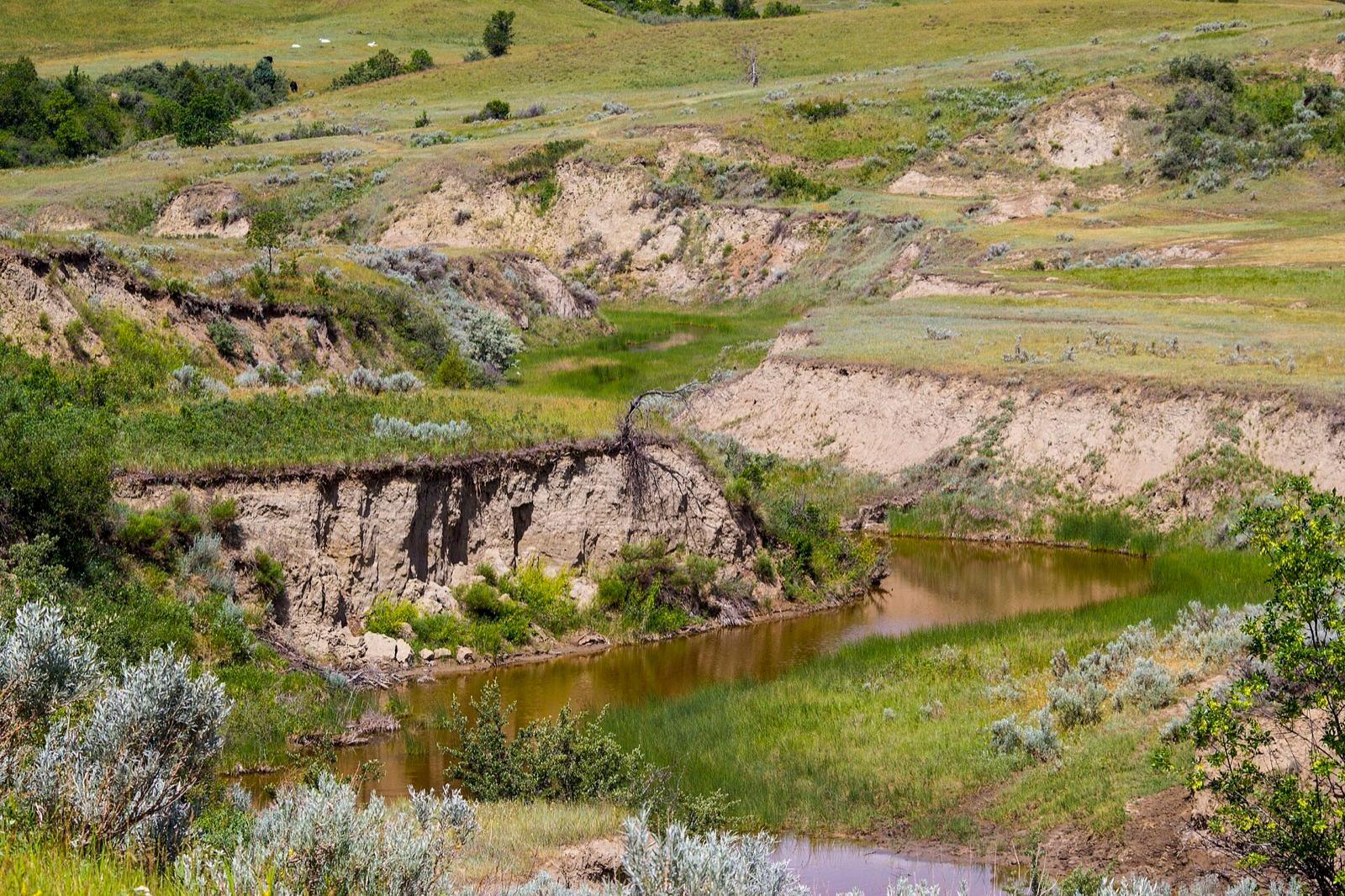 Little Missouri River winding through the badlands of the Little Missouri National Grassland, North Dakota
