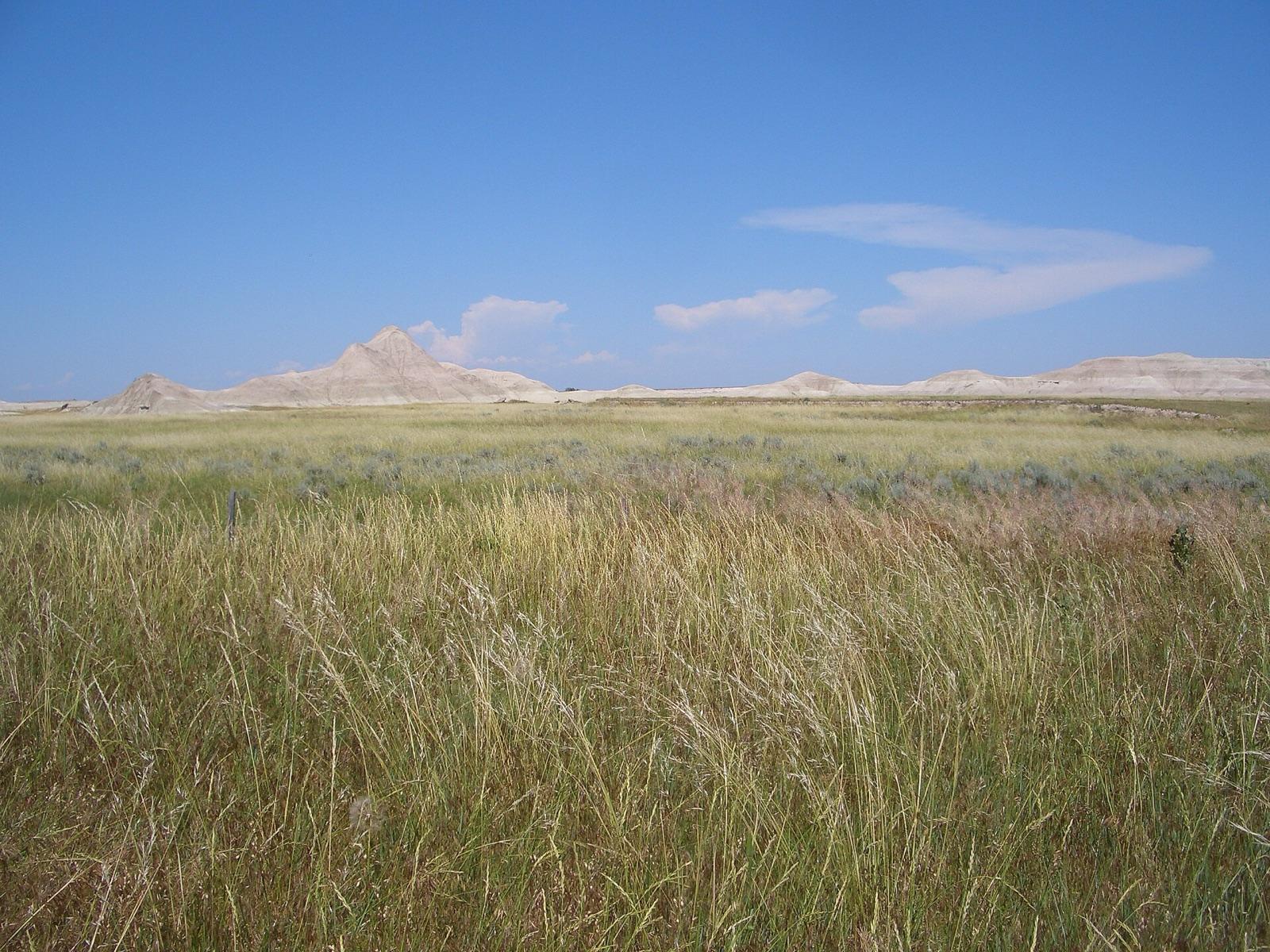 The Oglala National Grassland near Orella, with White River badlands buttes on the horizon, Dawes County, Nebraska