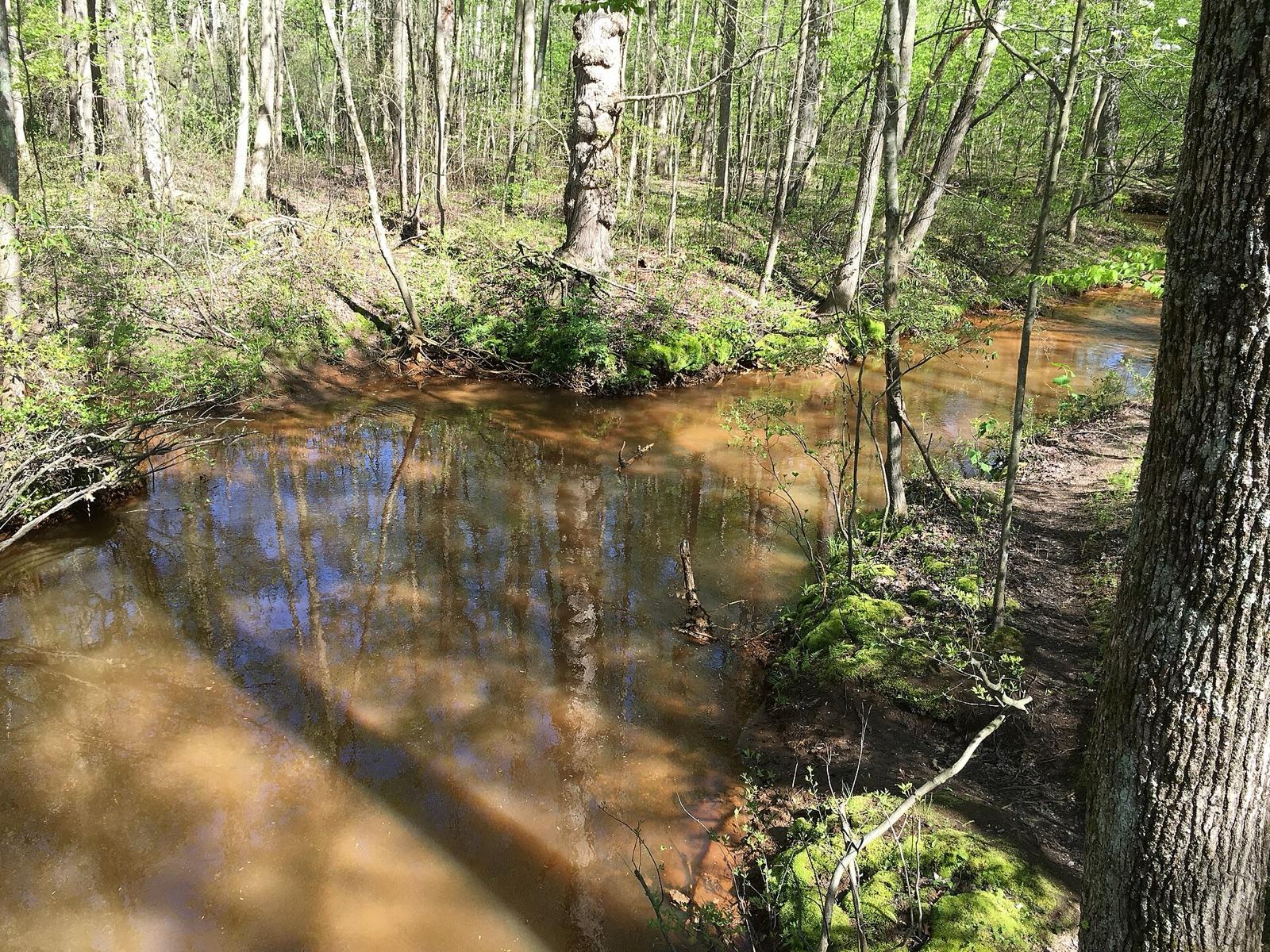 The Shark River at Shark River Park in Monmouth County, New Jersey
