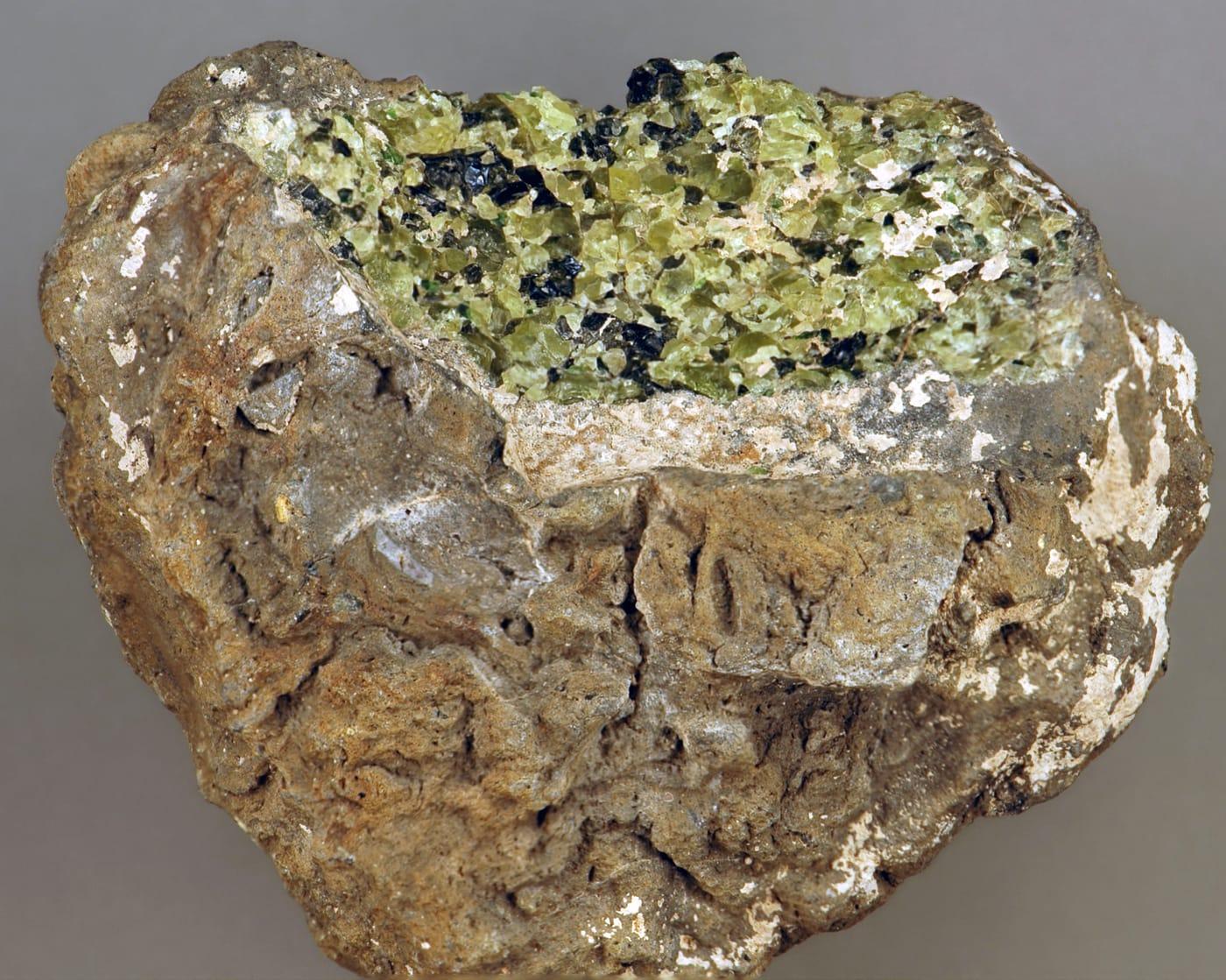Lherzolite mantle xenolith in basalt (Afton Basalt Flow Upper Pleistocene, 15 20 ka; Kilbourne Hole Crater, Aden Afton Basalt Field, Potrillo Volcanic Field, southwestern New Mexico, USA) (15013320336) at Kilbourne Hole, Doña Ana County, New Mexico