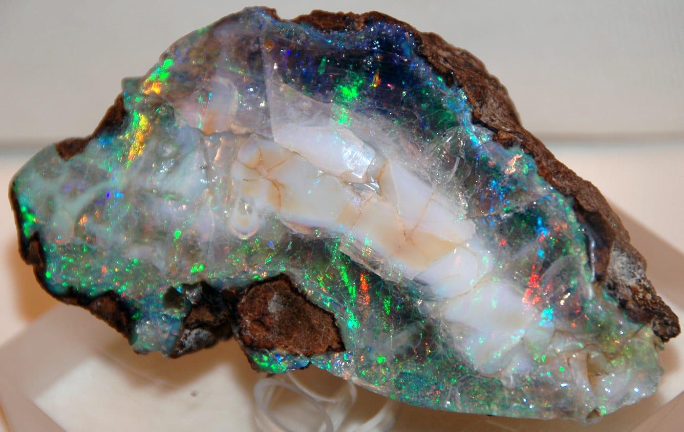 Precious opal (Virgin Valley Formation, Middle Miocene; Virgin Valley, northwestern Nevada, USA) 1 (29661866270) at Virgin Valley, Humboldt County, Nevada