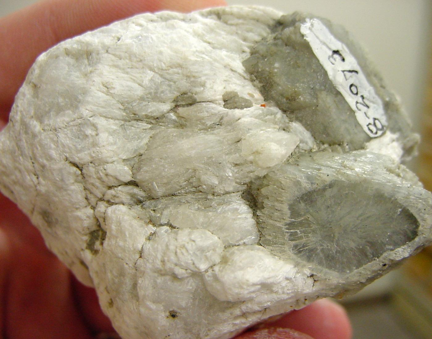 Fibrous ulexite specimen with translucent fiber-optic sections at White Basin, Clark County, Nevada
