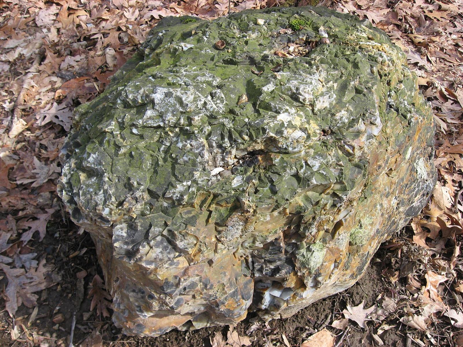 A typical outcrop of colorful Vanport flint at Flint Ridge, Licking County, Ohio, source of the state gemstone