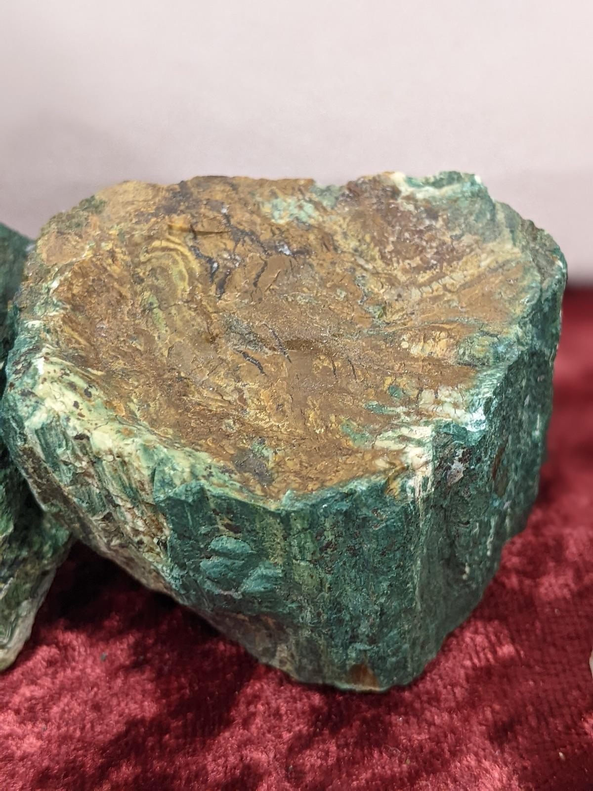 Green-tinted petrified wood from Oregon showing preserved grain, the signature material at Hampton Butte, Deschutes County, Oregon