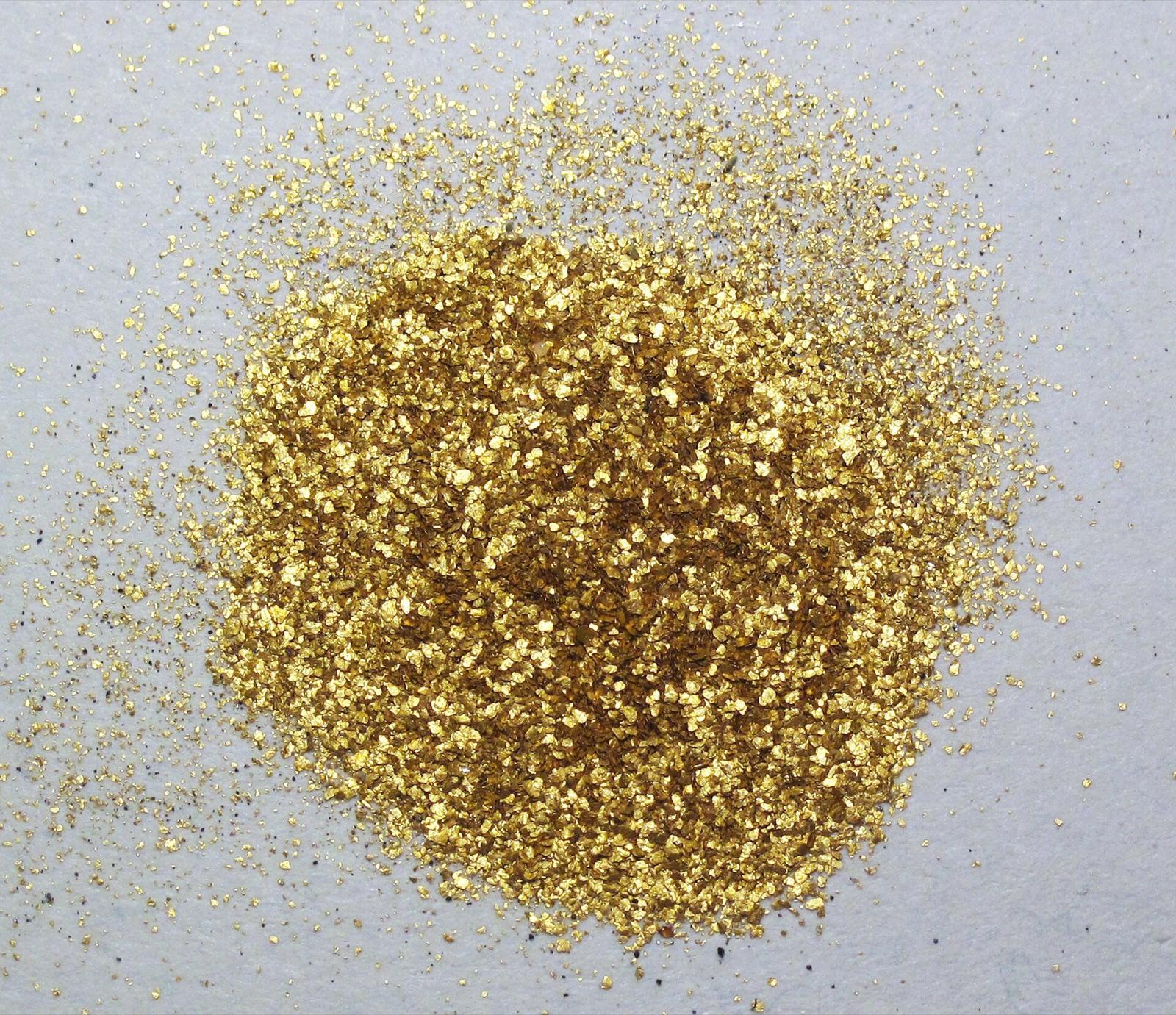 Placer gold flakes sluiced from river gravel, the kind of fine gold panned at Quartzville Recreational Mining Corridor, Linn County, Oregon