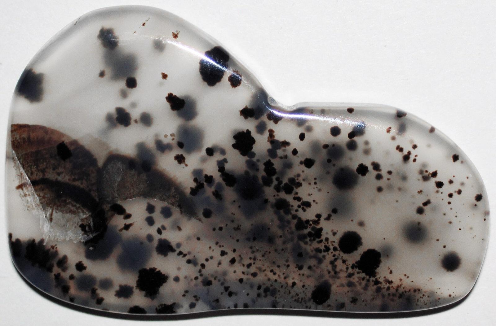 Polished moss agate showing translucent chalcedony with dark dendritic inclusions, a signature material at Warm Springs Reservoir, Harney County, Oregon