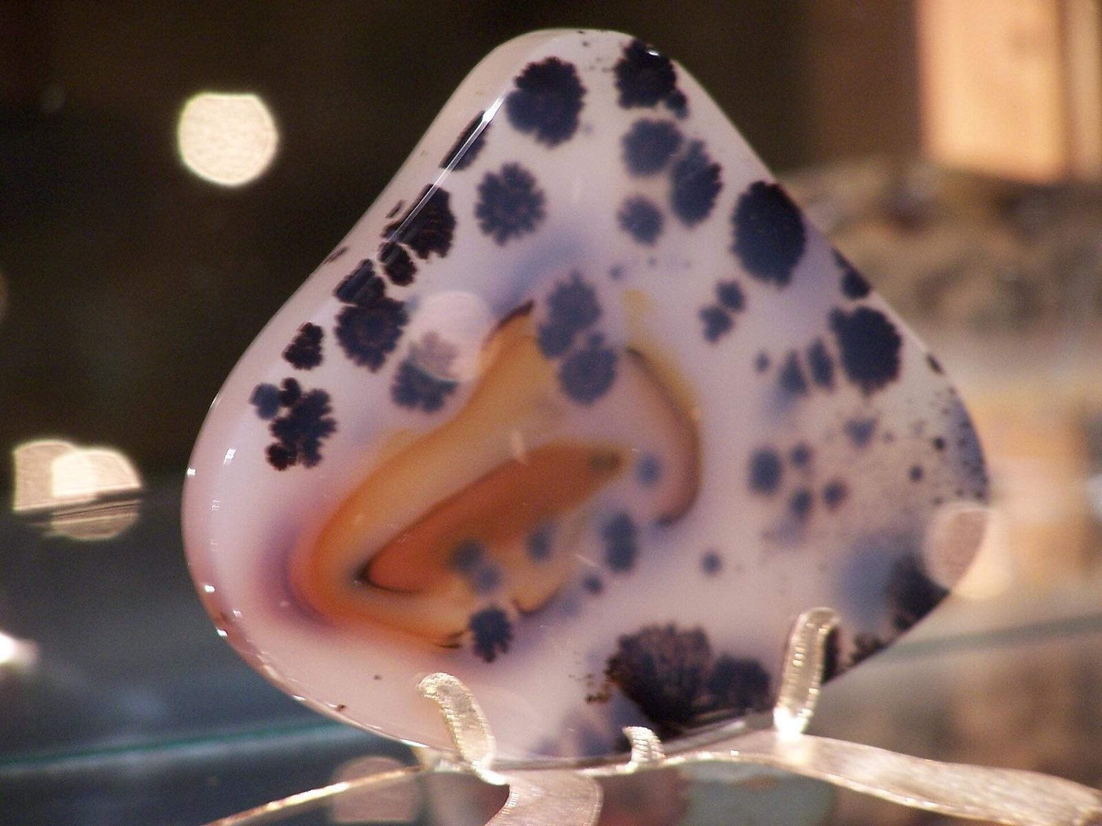A polished moss agate showing dark dendritic moss-like inclusions in translucent chalcedony, the prairie moss agate style found in the Little Missouri gravels