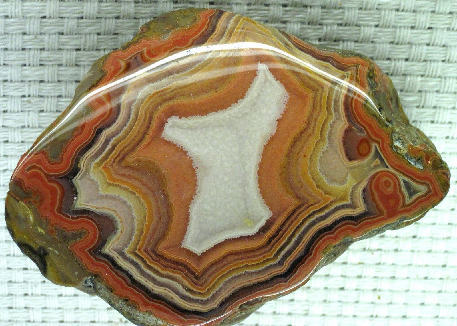 A Fairburn agate with vivid red and yellow fortification banding around a white quartz center, the state-gem agate of the Cheyenne River drainage