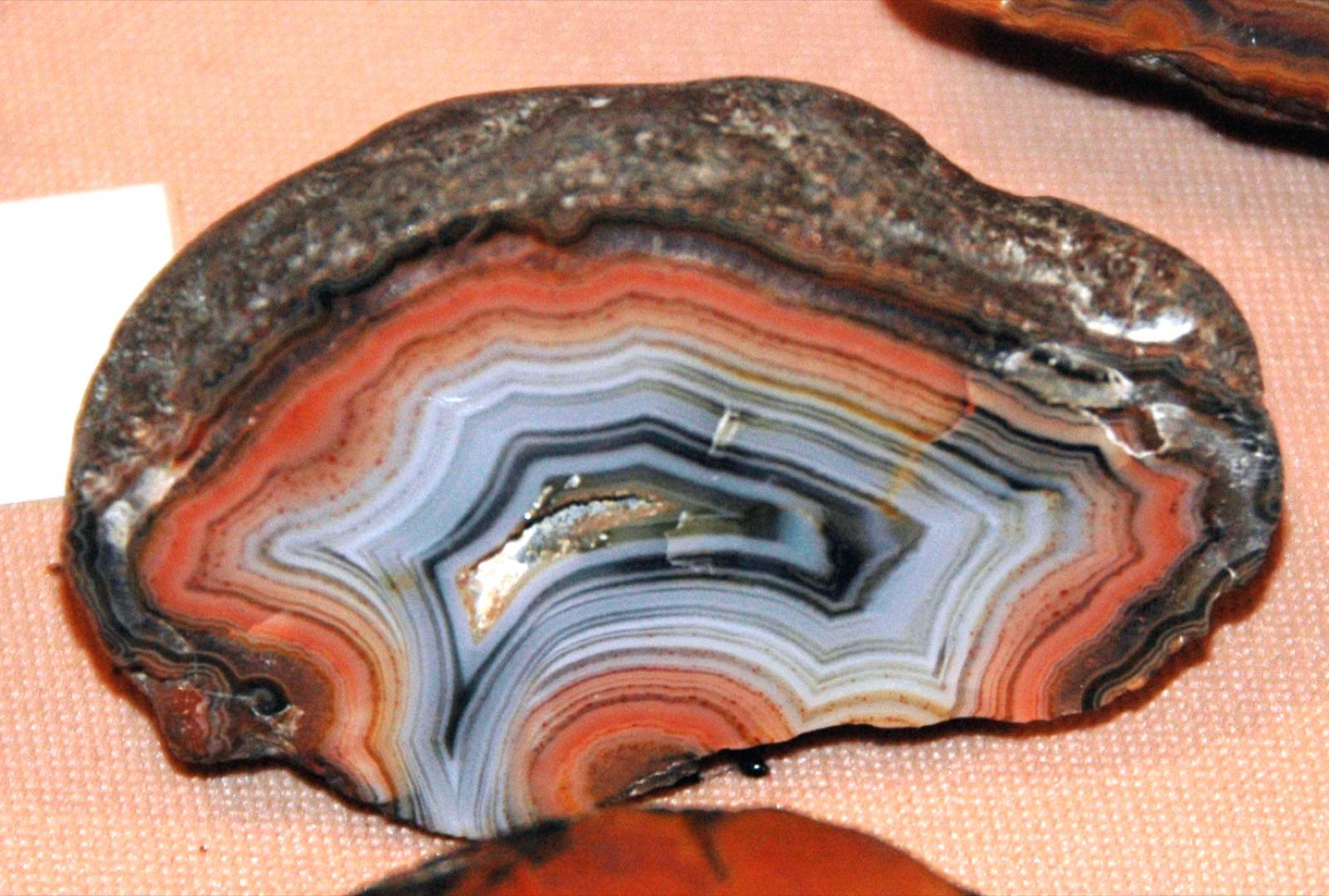 A Fairburn agate collected in the national grasslands east of the Black Hills, banded in orange, lavender, and white inside a weathered rind