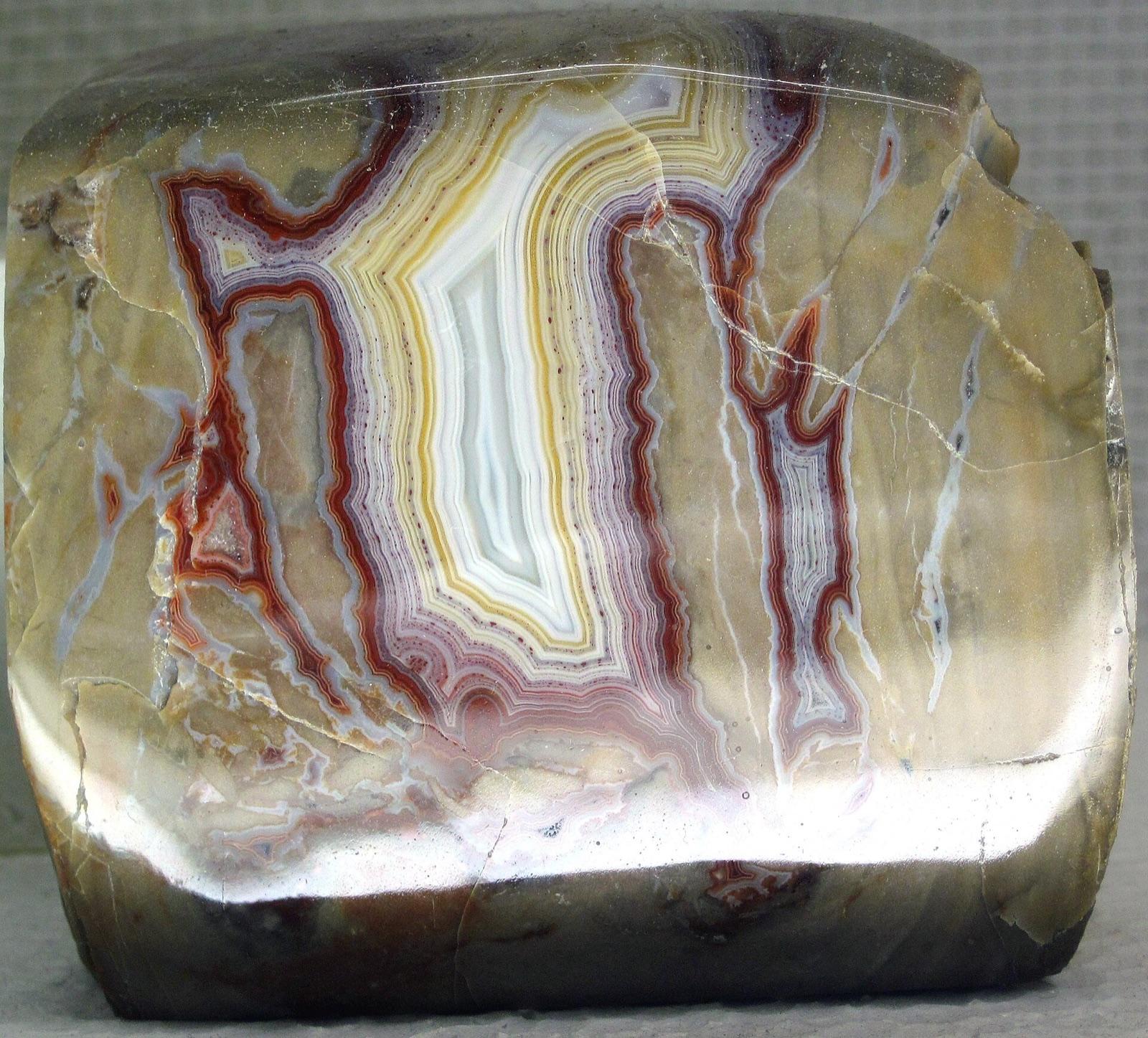 A Teepee Canyon agate from Custer County showing fortification banding in red, yellow, and white set in its brown limestone host